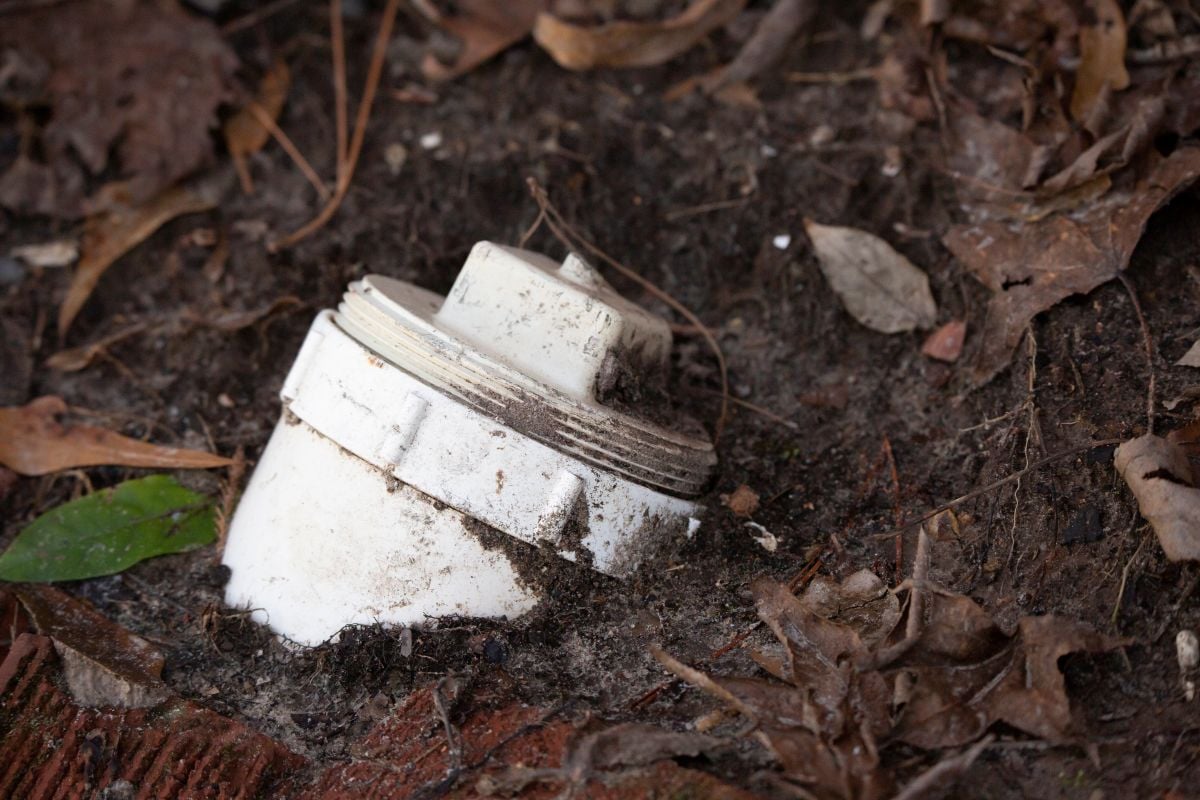 White PVC sewer cleanout pipe with screw cap in the ground outdoors