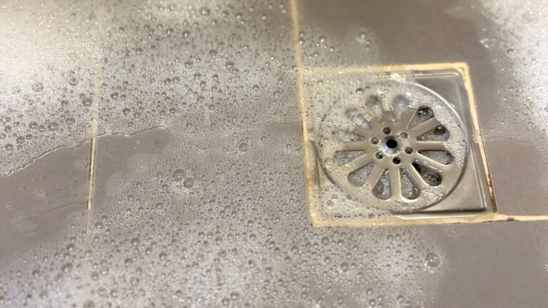 shower drain backup