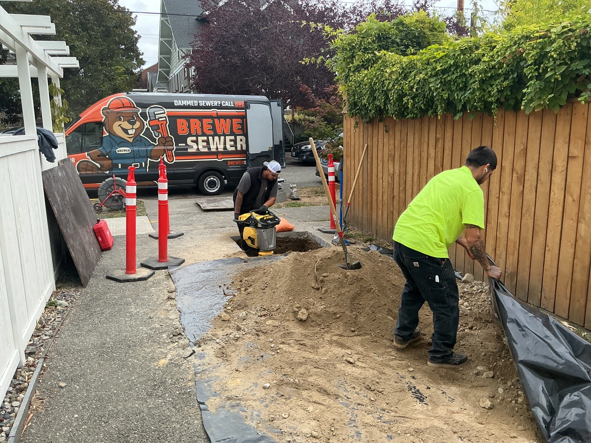 Brewer Sewer crew compacting and backfilling a side yard sewer trench, with the company van parked behind them.